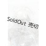 画像: 秘境巡礼/レナ　シークレット Y-26-02-18-202-WT-ZY