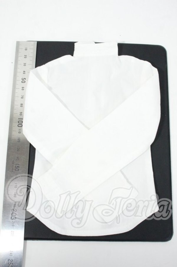 画像2: SD17B/OF:トップス Y-26-02-25-174-WT-ZY (2)