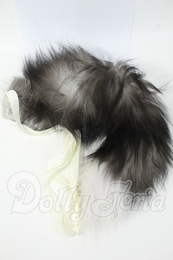 画像1: SD17B/OF:小物 Y-26-02-25-066-WT-ZY (1)