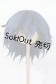 画像: 9-10inch/ウィッグ Y-26-03-04-075-WT-ZY