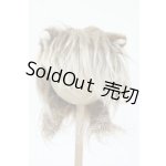 画像: 8-9inch/ウィッグ Y-26-02-25-249-WT-ZY