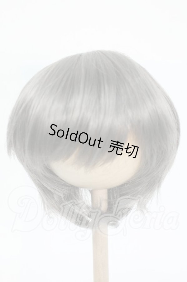 画像1: 8-9inch/ウィッグ Y-26-02-25-285-WT-ZY (1)