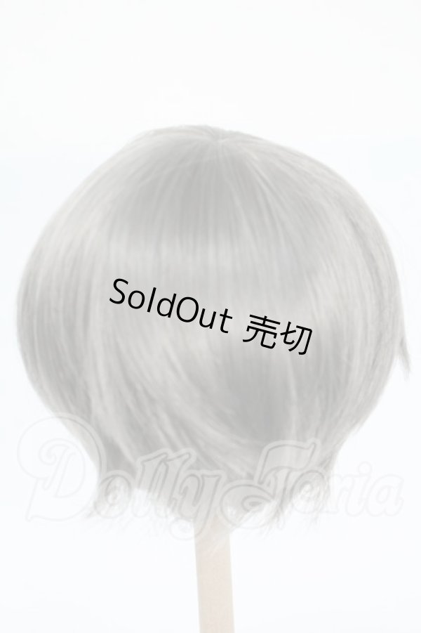 画像2: 8-9inch/ウィッグ Y-26-02-25-285-WT-ZY (2)