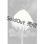 画像: 4.5inch/ウィッグ Y-26-03-04-060-WT-ZY