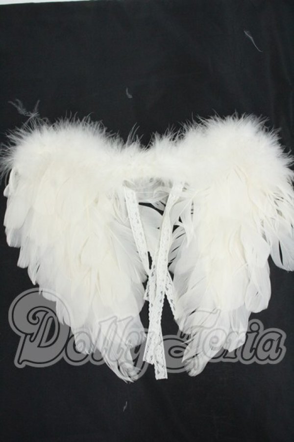 画像1: SD/OF:小物 Y-26-02-25-157-WT-ZY (1)