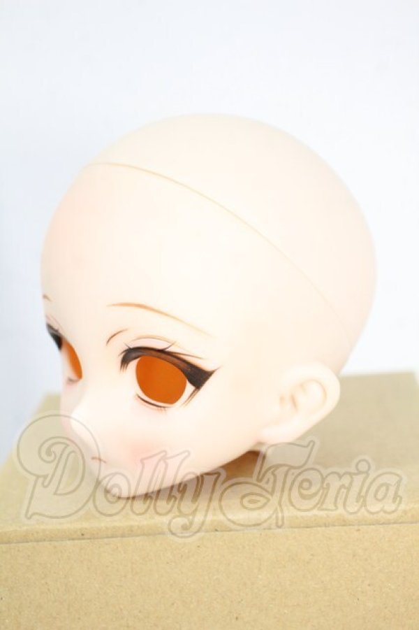 画像3: DD/DDH-10 (カスタマー様)カスタムヘッド Y-26-02-25-032-WT-ZY (3)