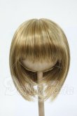 画像1: 9inch/ウィッグ Y-26-02-25-244-WT-ZY (1)