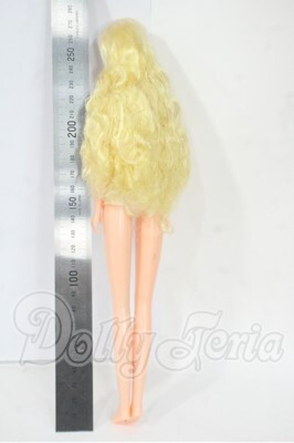 画像3: りかちゃんキャッスル/おたのしみドール:シーナ Y-26-03-18-220-WT-ZY (3)