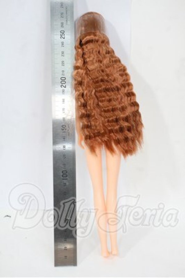 画像3: りかちゃんキャッスル/おたのしみドール:アニー Y-26-03-18-221-WT-ZY (3)