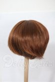画像2: 7-8inch/ウィッグ Y-26-03-04-072-WT-ZY (2)
