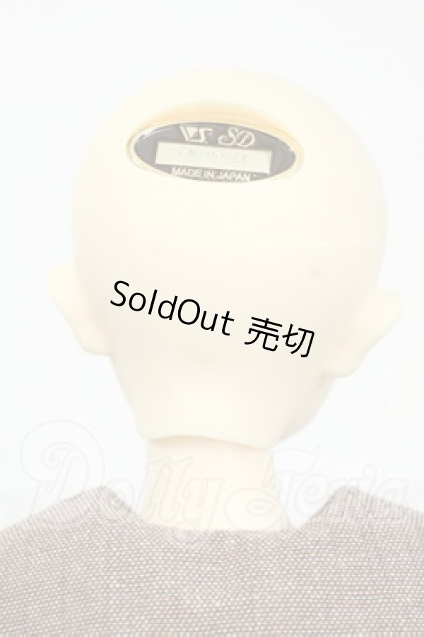 画像5: SDM/F-35：コーディネートモデル Y-26-03-04-019-WT-ZY (5)