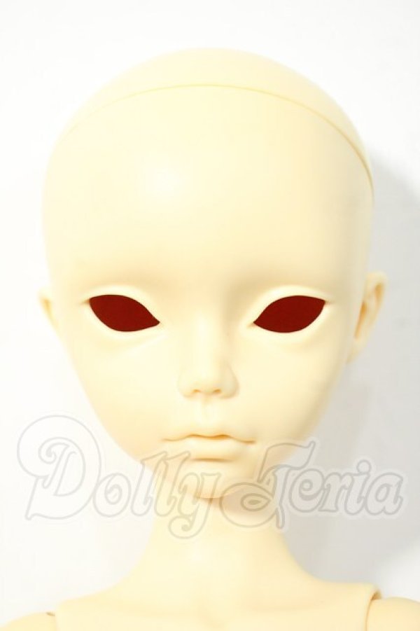 画像1: angelresion/imda5.2：sara Y-26-03-04-146-WT-ZY (1)