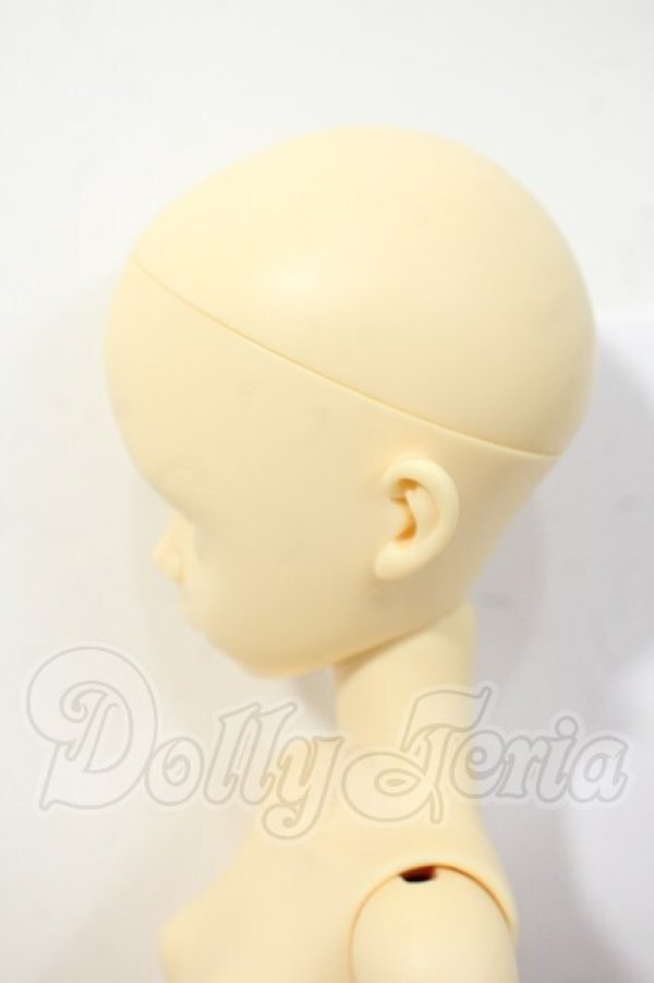 画像2: angelresion/imda5.2：sara Y-26-03-04-146-WT-ZY (2)