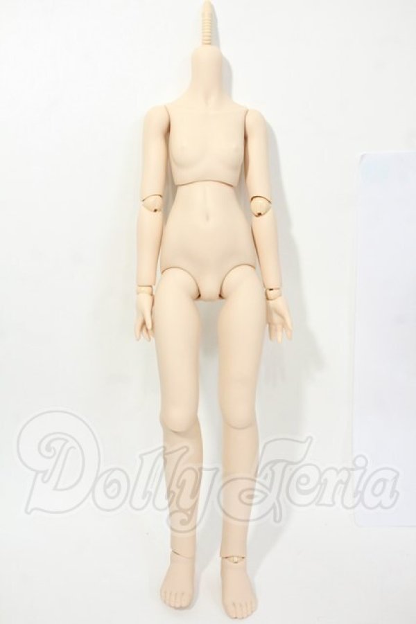 画像1: MDD/ベースボディIII Y-26-03-04-144-WT-ZY (1)