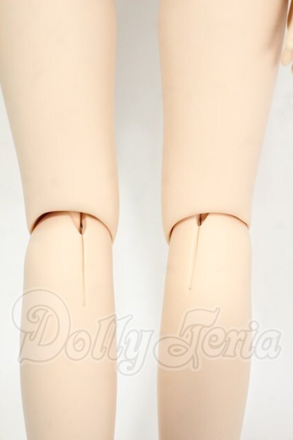 画像3: MDD/ベースボディIII Y-26-03-04-144-WT-ZY (3)