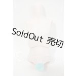 画像: MDD/「隠’s」kakuso様製 MDD用ボーイボディー Y-26-03-04-147-WT-ZY