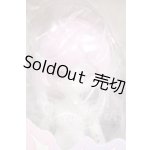 画像: Ｈappy Engine/ルルリン物語:骸骨の翼 色違い Y-26-03-11-143-WT-ZY