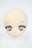 画像1: DD/DDＨ-01カスタムメイクヘッド Y-26-03-11-012-WT-ZY (1)