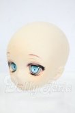 画像3: DD/DDＨ-01カスタムメイクヘッド Y-26-03-11-012-WT-ZY (3)