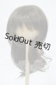 画像: 9inch/ウィッグ Y-26-03-18-108-WT-ZY