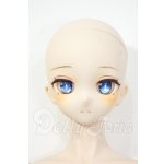 画像: DDH-10カスタムヘッド/DDSベースボディ Y-26-03-18-007-WT-ZY