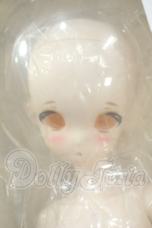 画像2: TinyFox/人見知りのワンちゃん リタ Y-26-03-18-002-WT-ZY (2)