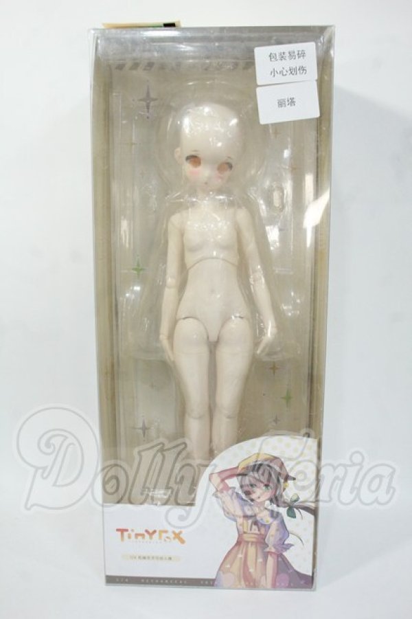 画像3: TinyFox/人見知りのワンちゃん リタ Y-26-03-18-002-WT-ZY (3)