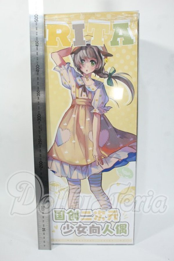 画像4: TinyFox/人見知りのワンちゃん リタ Y-26-03-18-002-WT-ZY (4)