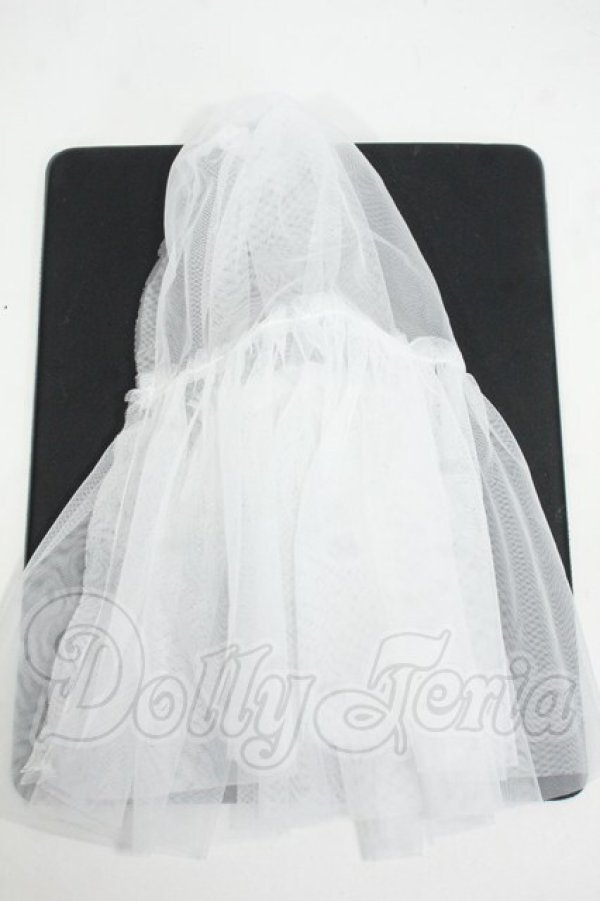 画像1: SDM＆MSD/OF:小物 Y-26-03-25-007-WT-ZY (1)