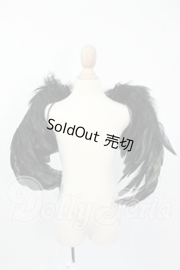 画像1: SD/OF:羽 Y-26-03-25-053-WT-ZY (1)