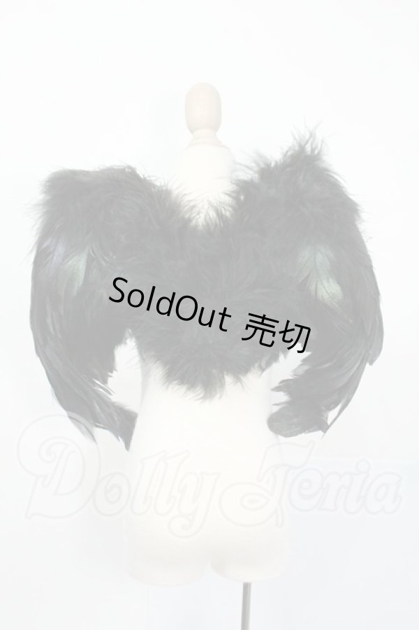 画像2: SD/OF:羽 Y-26-03-25-053-WT-ZY (2)