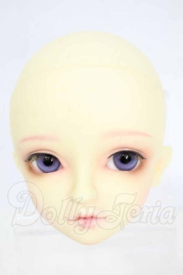 画像1: SD/ヘッド:F-54 Y-26-03-25-106-WT-ZY (1)