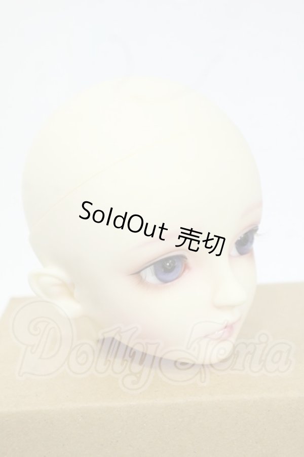 画像2: SD/ヘッド:F-54 Y-26-04-29-114-WT-ZY (2)