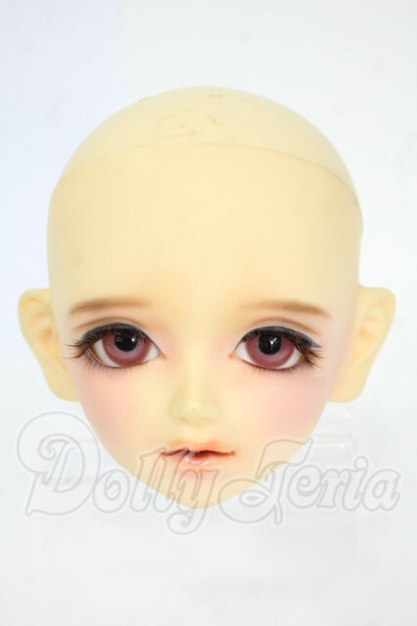 画像1: SD/ヘッド:F-22 Y-26-03-25-107-WT-ZY (1)