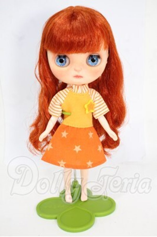 画像5: ミディブライス/カスタムミディブライス Y-26-03-25-291-WT-ZY (5)