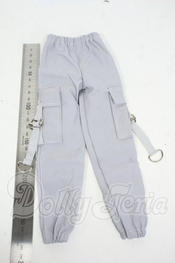 画像2: SDM＆MSD/OF:パンツ Y-26-04-01-041-WT-ZY (2)