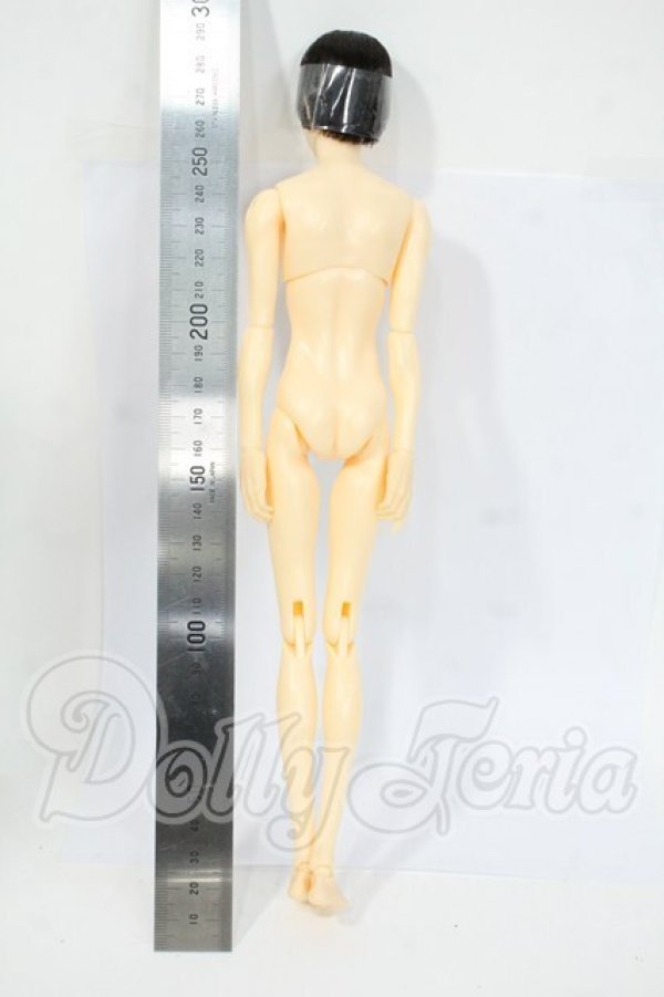 画像3: 六分の一男子図鑑/B2312 エイト Y-26-04-01-271-WT-ZY (3)