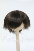 画像1: 5.5inch/ウィッグ Y-26-04-01-280-WT-ZY (1)
