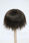 画像2: 5.5inch/ウィッグ Y-26-04-01-280-WT-ZY (2)