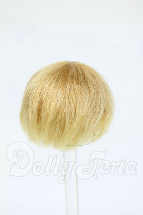 画像2: 4inch/ウィッグ Y-26-04-01-224-WT-ZY (2)