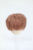 画像1: 4inch/ウィッグ Y-26-04-01-225-WT-ZY (1)