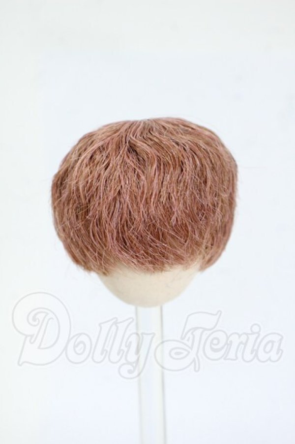 画像1: 4inch/ウィッグ Y-26-04-01-225-WT-ZY (1)
