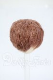 画像2: 4inch/ウィッグ Y-26-04-01-225-WT-ZY (2)
