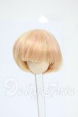 画像1: 4inch/ウィッグ Y-26-04-01-219-WT-ZY (1)