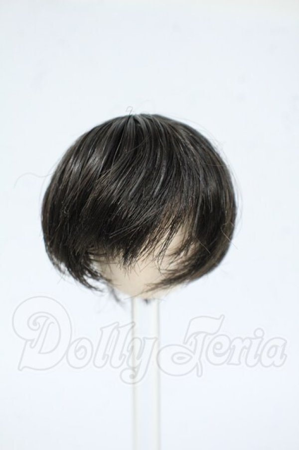 画像1: 4inch/ウィッグ Y-26-04-01-223-WT-ZY (1)