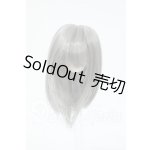 画像: 4inch/ウィッグ Y-26-04-01-230-WT-ZY