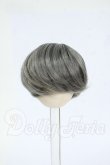 画像1: 4inch/ウィッグ Y-26-04-01-220-WT-ZY (1)