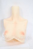 画像1: ANGEL PHILIA/vmf50用外皮パーツ:上胴パーツ Soft Skin Y-26-04-08-035-WT-ZY (1)