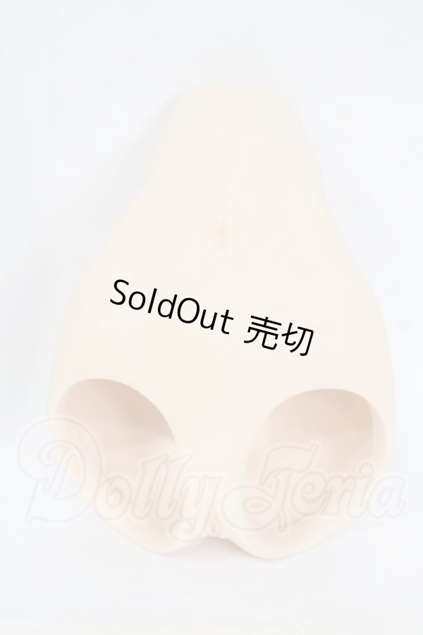 画像1: DD/下半身パーツ:カスタム Y-26-04-08-038-WT-ZY (1)