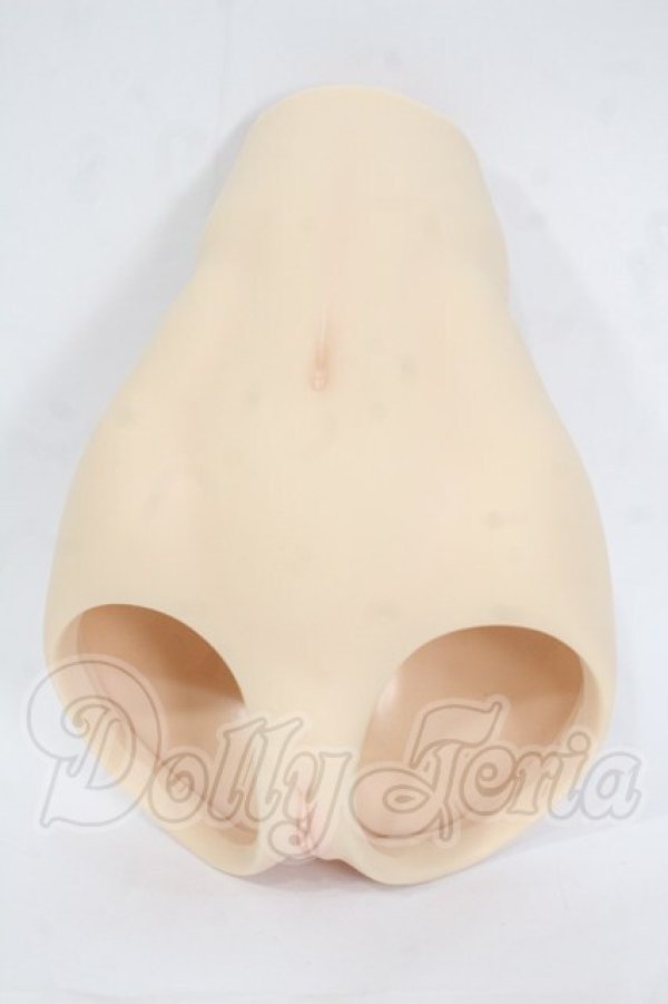 画像1: DD/下半身パーツ:カスタム Y-26-04-08-037-WT-ZY (1)